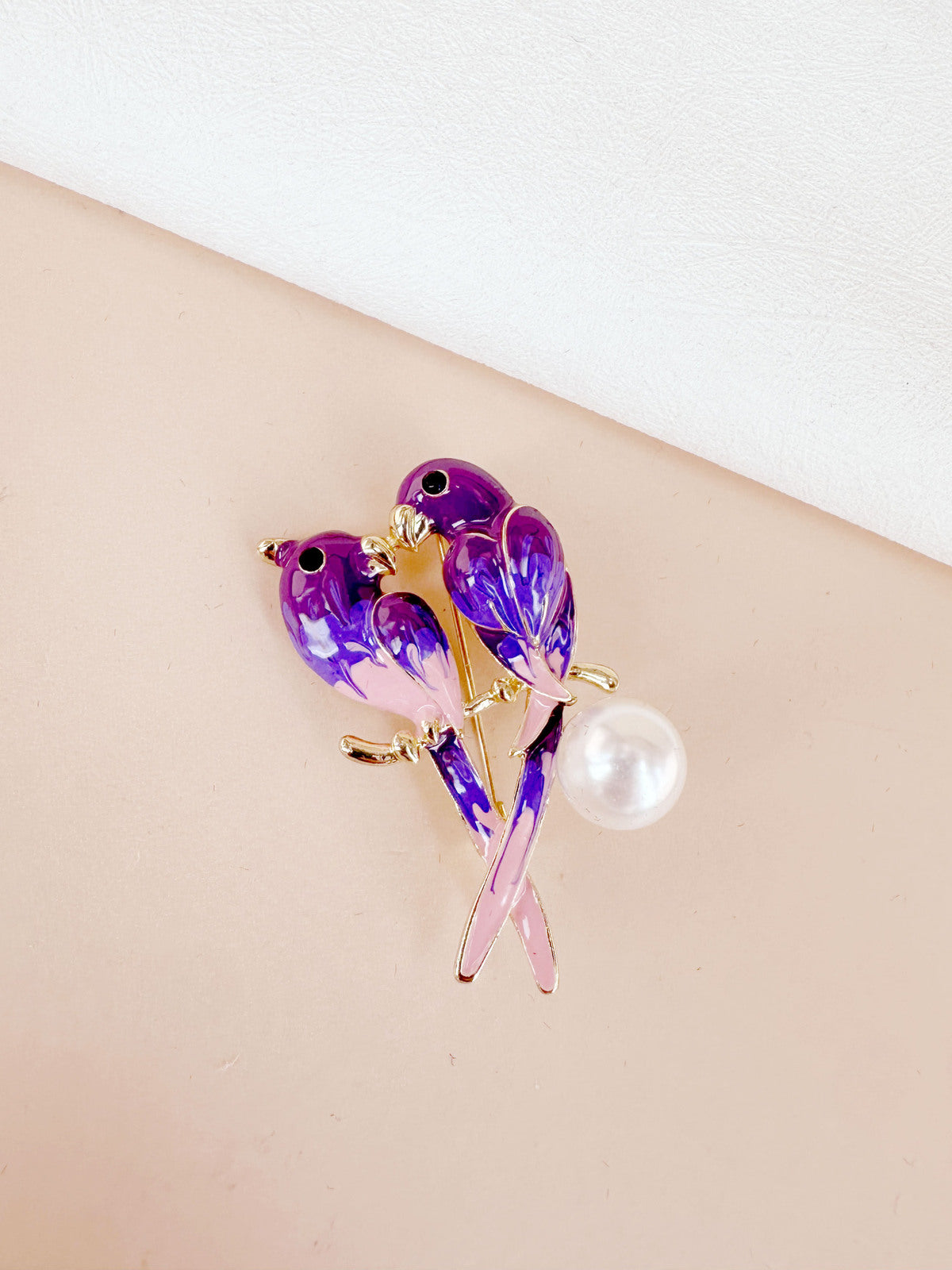 Broche oiseaux
